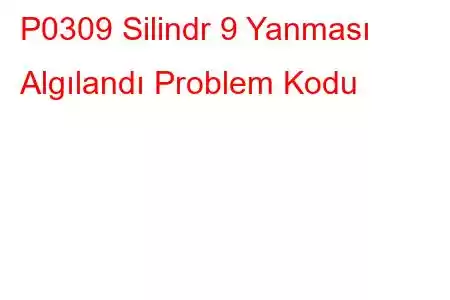 P0309 Silindr 9 Yanması Algılandı Problem Kodu