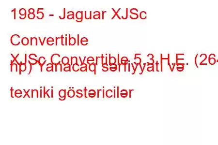 1985 - Jaguar XJSc Convertible
XJSc Convertible 5.3 H.E. (264 hp) Yanacaq sərfiyyatı və texniki göstəricilər