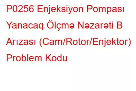 P0256 Enjeksiyon Pompası Yanacaq Ölçmə Nəzarəti B Arızası (Cam/Rotor/Enjektor) Problem Kodu