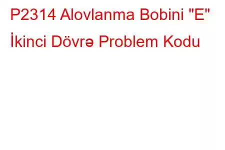 P2314 Alovlanma Bobini 