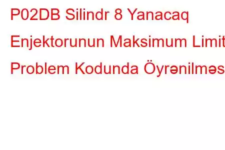 P02DB Silindr 8 Yanacaq Enjektorunun Maksimum Limit Problem Kodunda Öyrənilməsi