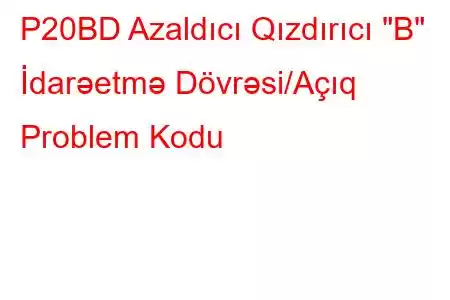 P20BD Azaldıcı Qızdırıcı 