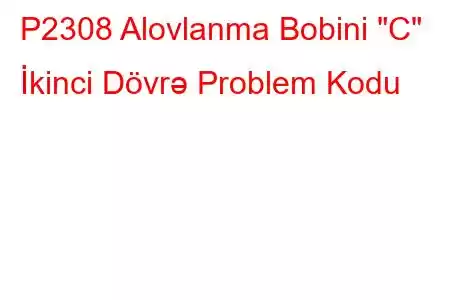 P2308 Alovlanma Bobini 