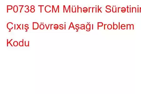 P0738 TCM Mühərrik Sürətinin Çıxış Dövrəsi Aşağı Problem Kodu