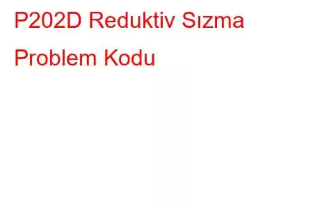 P202D Reduktiv Sızma Problem Kodu