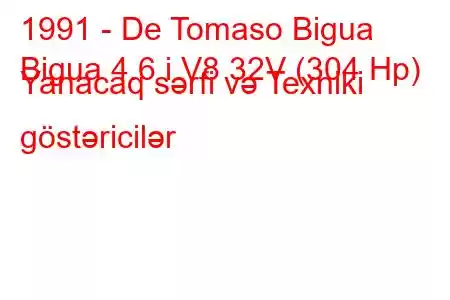 1991 - De Tomaso Bigua
Bigua 4.6 i V8 32V (304 Hp) Yanacaq sərfi və Texniki göstəricilər