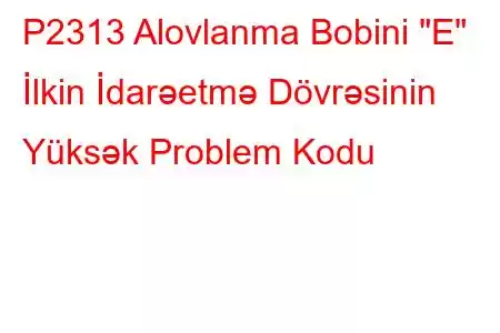 P2313 Alovlanma Bobini 