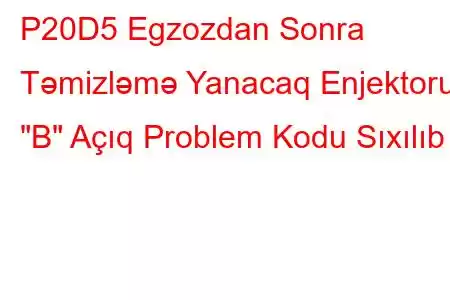 P20D5 Egzozdan Sonra Təmizləmə Yanacaq Enjektoru 