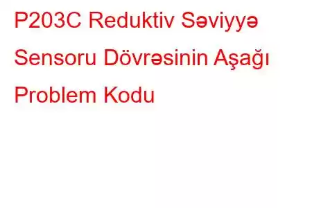 P203C Reduktiv Səviyyə Sensoru Dövrəsinin Aşağı Problem Kodu