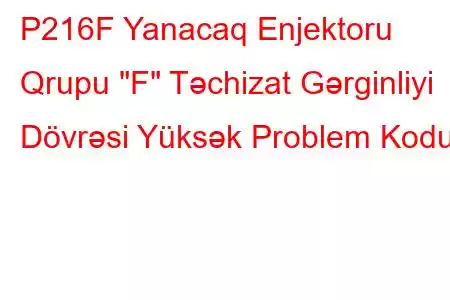 P216F Yanacaq Enjektoru Qrupu 