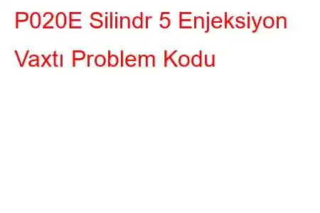 P020E Silindr 5 Enjeksiyon Vaxtı Problem Kodu