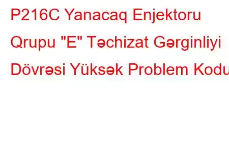 P216C Yanacaq Enjektoru Qrupu 