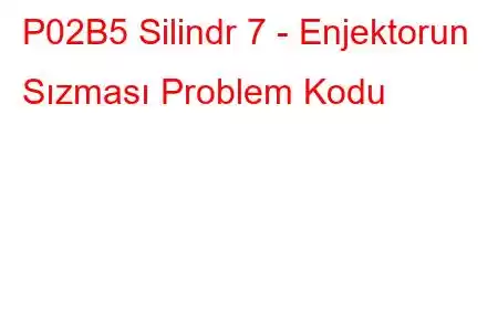 P02B5 Silindr 7 - Enjektorun Sızması Problem Kodu