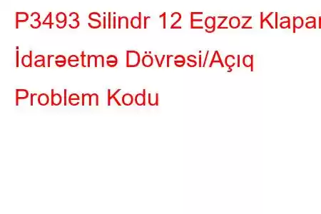 P3493 Silindr 12 Egzoz Klapanı İdarəetmə Dövrəsi/Açıq Problem Kodu