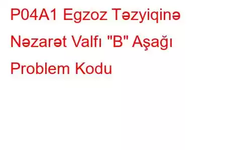 P04A1 Egzoz Təzyiqinə Nəzarət Valfı 