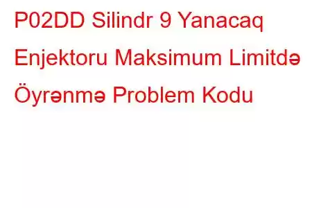 P02DD Silindr 9 Yanacaq Enjektoru Maksimum Limitdə Öyrənmə Problem Kodu