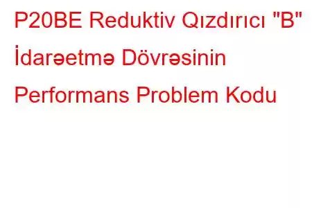 P20BE Reduktiv Qızdırıcı 