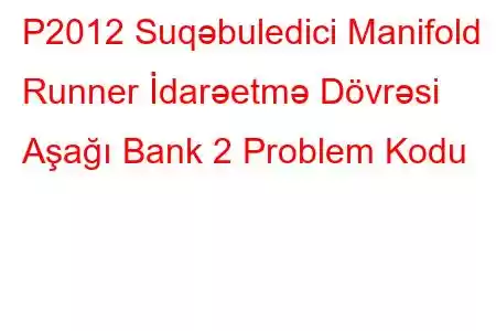 P2012 Suqəbuledici Manifold Runner İdarəetmə Dövrəsi Aşağı Bank 2 Problem Kodu