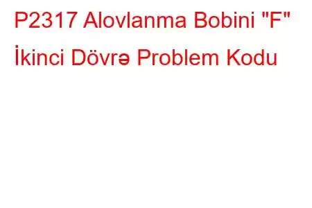 P2317 Alovlanma Bobini 