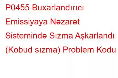 P0455 Buxarlandırıcı Emissiyaya Nəzarət Sistemində Sızma Aşkarlandı (Kobud sızma) Problem Kodu