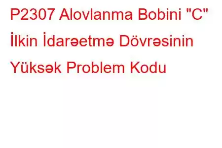 P2307 Alovlanma Bobini 