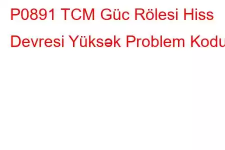 P0891 TCM Güc Rölesi Hiss Devresi Yüksək Problem Kodu