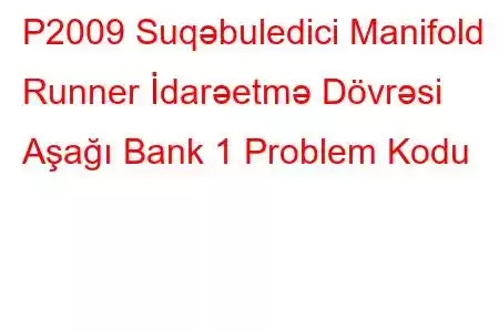 P2009 Suqəbuledici Manifold Runner İdarəetmə Dövrəsi Aşağı Bank 1 Problem Kodu