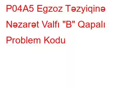 P04A5 Egzoz Təzyiqinə Nəzarət Valfı 