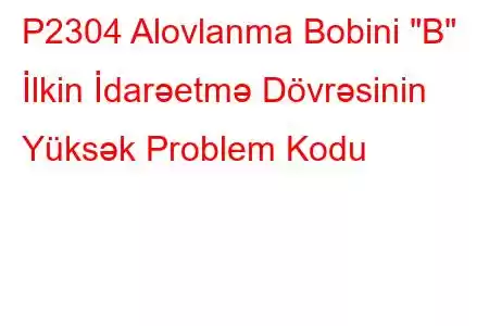 P2304 Alovlanma Bobini 