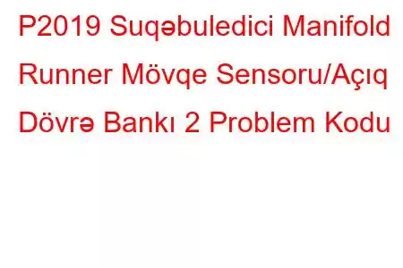 P2019 Suqəbuledici Manifold Runner Mövqe Sensoru/Açıq Dövrə Bankı 2 Problem Kodu