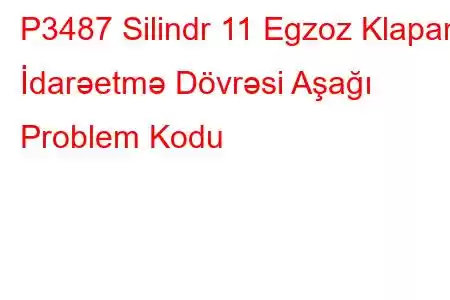 P3487 Silindr 11 Egzoz Klapanı İdarəetmə Dövrəsi Aşağı Problem Kodu