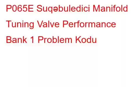 P065E Suqəbuledici Manifold Tuning Valve Performance Bank 1 Problem Kodu