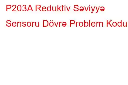 P203A Reduktiv Səviyyə Sensoru Dövrə Problem Kodu