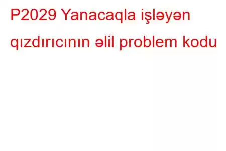 P2029 Yanacaqla işləyən qızdırıcının əlil problem kodu