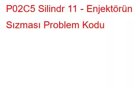 P02C5 Silindr 11 - Enjektörün Sızması Problem Kodu