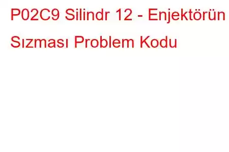 P02C9 Silindr 12 - Enjektörün Sızması Problem Kodu