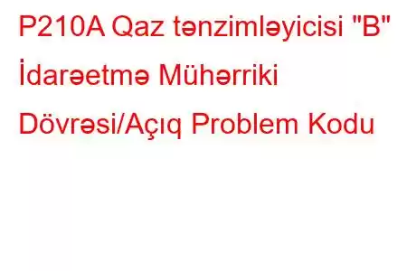 P210A Qaz tənzimləyicisi 