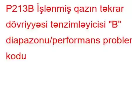 P213B İşlənmiş qazın təkrar dövriyyəsi tənzimləyicisi 