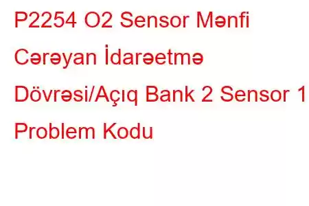 P2254 O2 Sensor Mənfi Cərəyan İdarəetmə Dövrəsi/Açıq Bank 2 Sensor 1 Problem Kodu