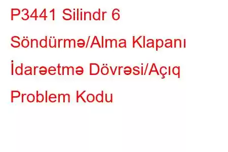 P3441 Silindr 6 Söndürmə/Alma Klapanı İdarəetmə Dövrəsi/Açıq Problem Kodu