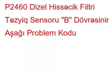 P2460 Dizel Hissəcik Filtri Təzyiq Sensoru 