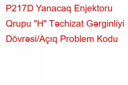 P217D Yanacaq Enjektoru Qrupu 