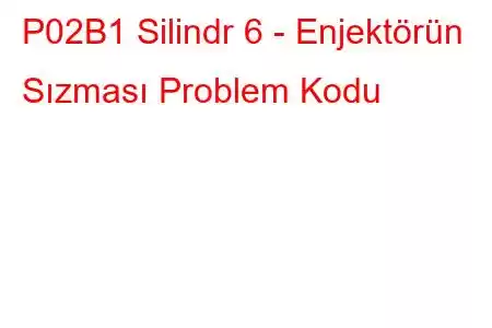 P02B1 Silindr 6 - Enjektörün Sızması Problem Kodu