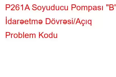 P261A Soyuducu Pompası 