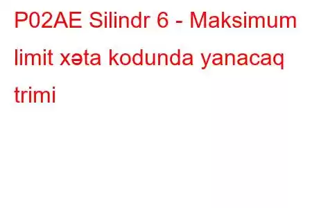 P02AE Silindr 6 - Maksimum limit xəta kodunda yanacaq trimi