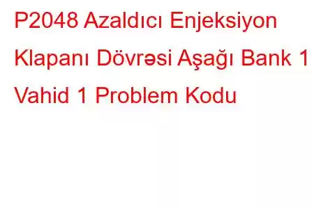 P2048 Azaldıcı Enjeksiyon Klapanı Dövrəsi Aşağı Bank 1 Vahid 1 Problem Kodu