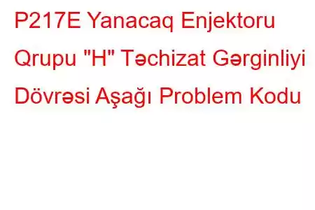 P217E Yanacaq Enjektoru Qrupu 