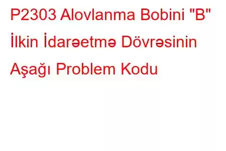 P2303 Alovlanma Bobini 