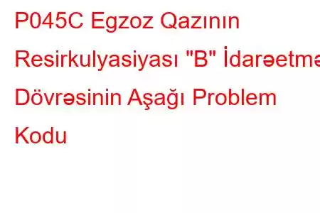 P045C Egzoz Qazının Resirkulyasiyası 