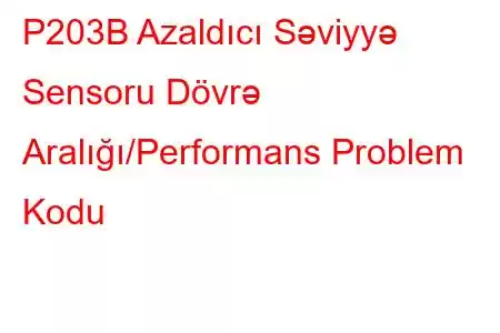 P203B Azaldıcı Səviyyə Sensoru Dövrə Aralığı/Performans Problem Kodu